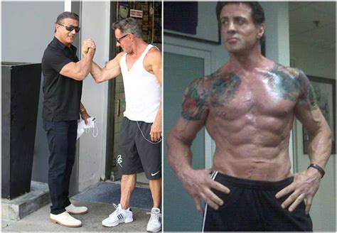 sylvester stallone height and weight|sylvester stallone current physique.